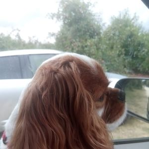 Meet your Posher, Chris